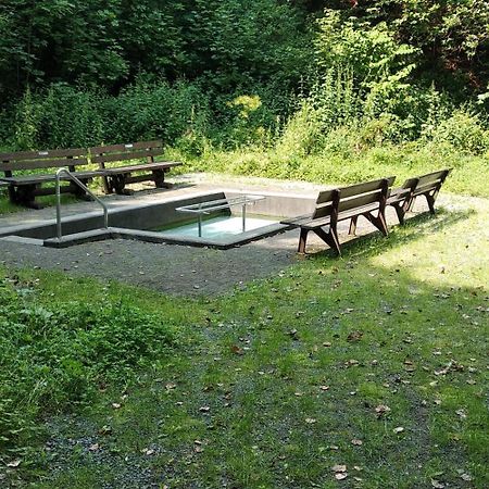 Bergzeit In Langewiese - Appartment Landelijke Star ヴィンターベルク エクステリア 写真